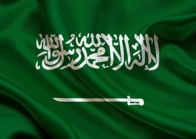 بوابة الخدمات الذاتية الحرس الوطني السعودي